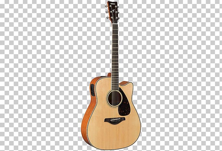 Twelve-string Guitar Takamine Guitars Acoustic-electric Guitar Acoustic Guitar PNG, Clipart, Acoustic, Cuatro, Cutaway, Guitar Accessory, String Instrument Free PNG Download