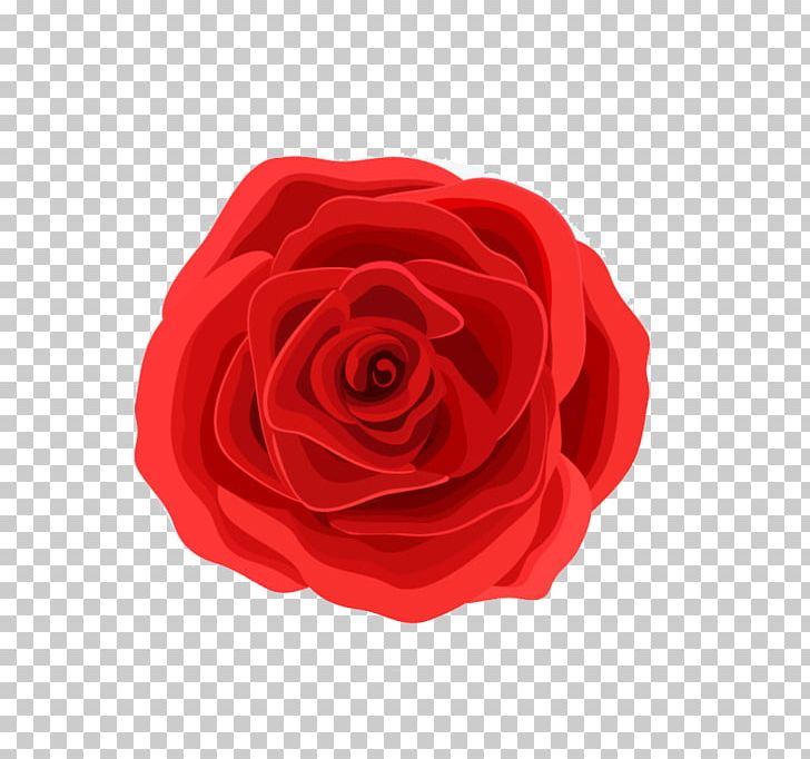 Valentines Day Rose Happiness PNG, Clipart, Drawing, Flower, Flowering Plant, Flowers, Garden Roses Free PNG Download