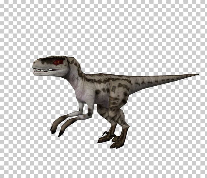 Velociraptor Jurassic Park: Operation Genesis Jurassic World Evolution Tyrannosaurus YouTube PNG, Clipart, Animal Figure, Dinosaur, Fauna, Ingen, Jurassic Park Free PNG Download