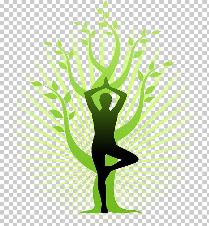 A Gentle Introduction To Yoga Autobiography Of A Yogi Meditation PNG, Clipart, Autobiography Of A Yogi, Book, Branch, Exercise, Fitness Centre Free PNG Download