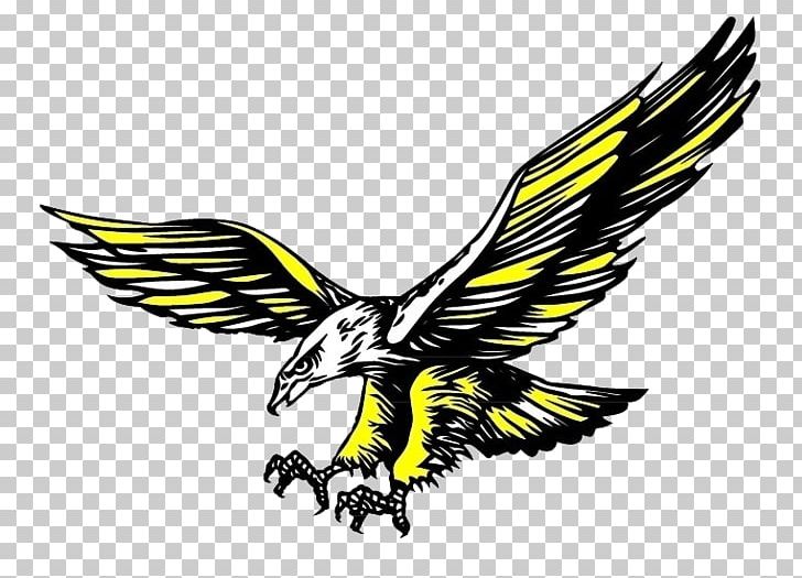 Hawk Icon PNG, Clipart, Accipitriformes, Animals, Animation, Bald Eagle, Bird Free PNG Download