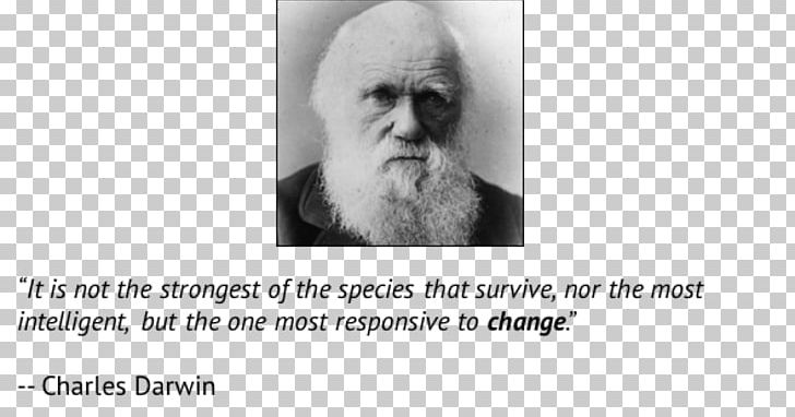 Charles Darwin Chin Homo Sapiens Human Behavior Beard PNG, Clipart, Beard, Behavior, Black And White, Book, Charles Darwin Free PNG Download