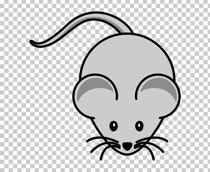 Computer Mouse Cartoon Minnie Mouse PNG, Clipart, Artwork, Black, Black And White, Carnivoran, Cartoon Free PNG Download