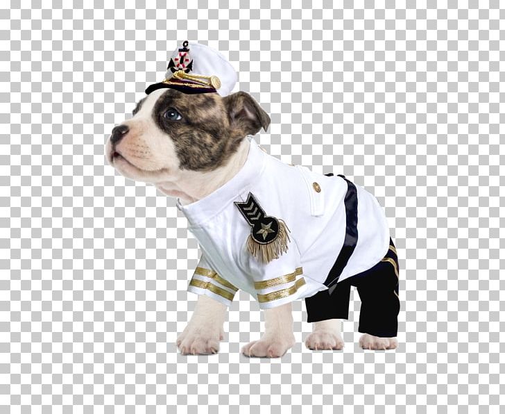 Dog Breed Puppy Halloween Costume Boston Terrier PNG, Clipart, Admiral, Animals, Boston Terrier, Boutique, Cap Free PNG Download