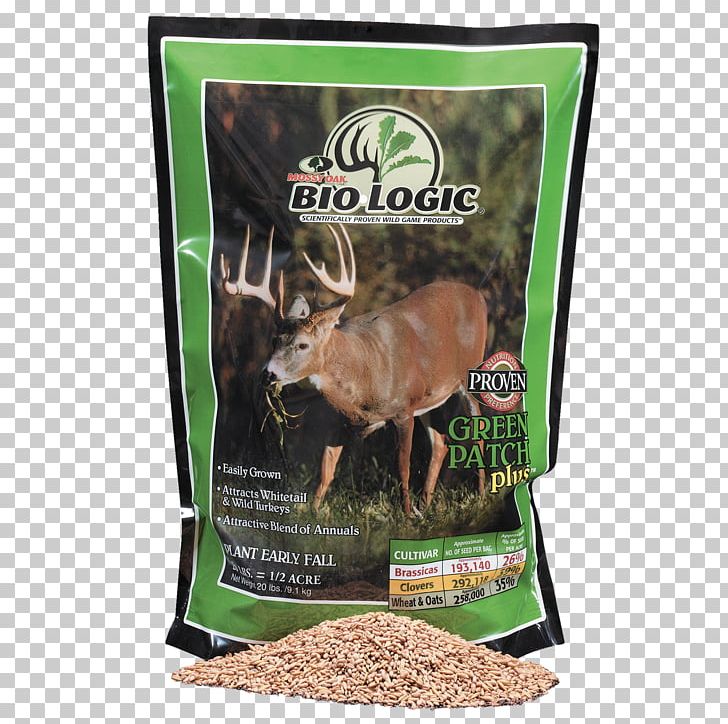 Food Plot Deer Seed Pound Sowing PNG, Clipart, Alfalfa, Animals, Annual Plant, Cattle Like Mammal, Chicory Free PNG Download