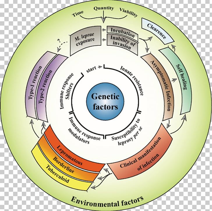 Organization Circle PNG, Clipart, Circle, Diagram, Education Science, Human Phenotype Ontology, Organization Free PNG Download