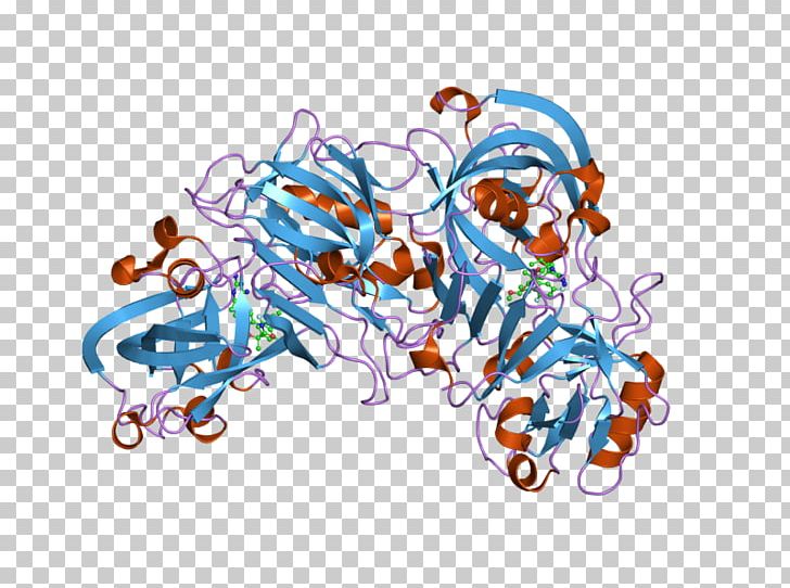 Renin Kidney Enzyme Lipotropin Vasopressin PNG, Clipart, Adrenocorticotropic Hormone, Area, Art, Endorphins, Folliclestimulating Hormone Free PNG Download