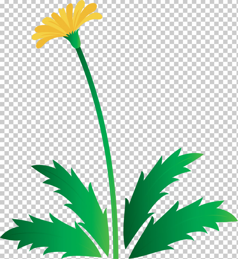 Dandelion Flower Easter Day Flower Spring Flower PNG, Clipart, Chamomile, Dandelion Flower, Easter Day Flower, English Marigold, Flower Free PNG Download