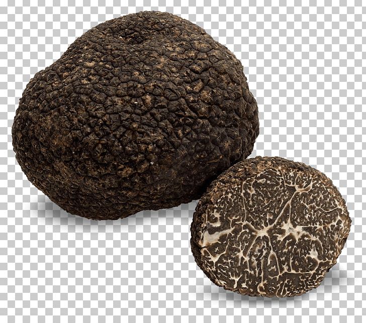 Edible Mushroom Chocolate Truffle Périgord Black Truffle Fungus PNG, Clipart, Black Truffle, Chocolate Truffle, Edible, Edible Mushroom, Fungus Free PNG Download