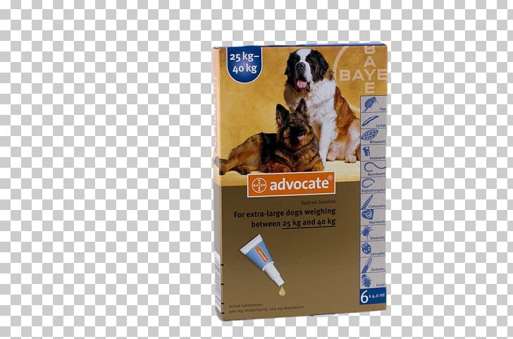 Flea Treatments Cat Pet Shop Puppy PNG, Clipart, Advertising, Beagle, Cat, Dog, Dog Breed Free PNG Download