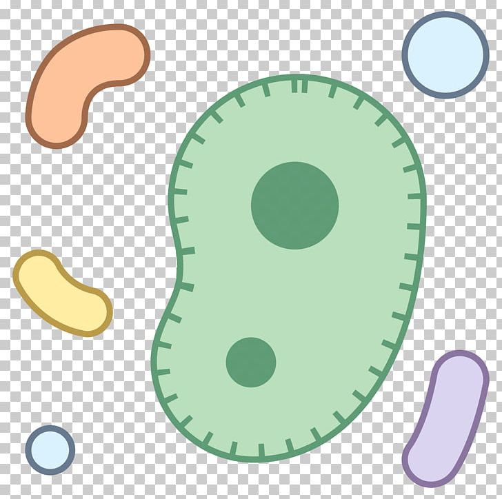 Portable Network Graphics Computer Icons Microorganism Bacteria Icons8 PNG, Clipart, Bacteria, Circle, Computer Icons, Download, Food Free PNG Download