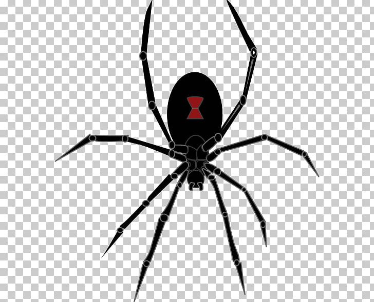 Redback Spider Southern Black Widow PNG, Clipart, Arachnid, Arthropod, Black And White, Black Widow, Brown Recluse Spider Free PNG Download