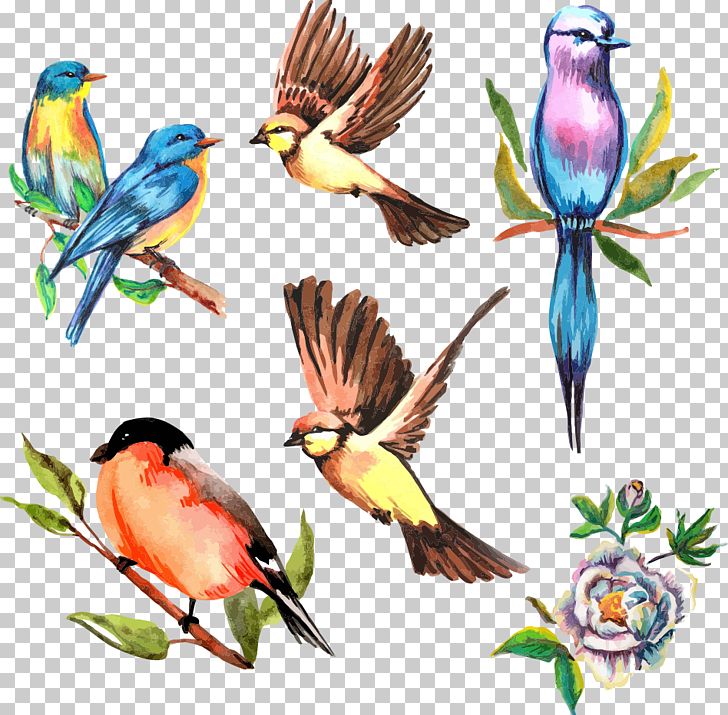 Watercolor Flower Bird PNG, Clipart, Beak, Bird, Branch, Cartoon, Clip Art Free PNG Download