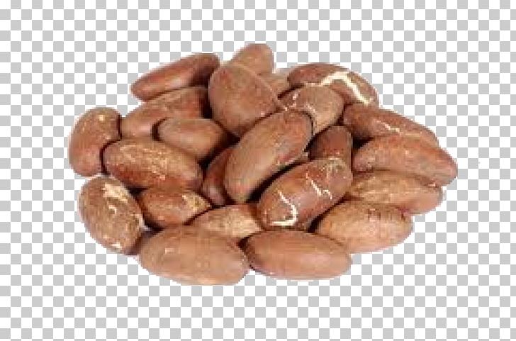 Bitter Kola Kola Nut West Africa Health Food PNG, Clipart, Bean, Benefit, Bitter, Bitter Kola, Chocolate Coated Peanut Free PNG Download