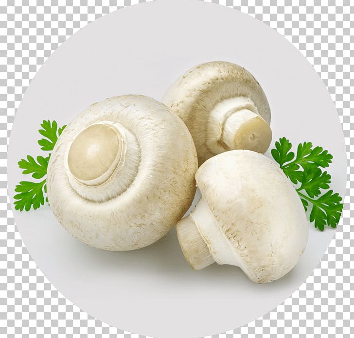 Common Mushroom Edible Mushroom Nagpur Casserole PNG, Clipart, Agaricaceae, Blanching, Business, Casserole, Champignon Mushroom Free PNG Download