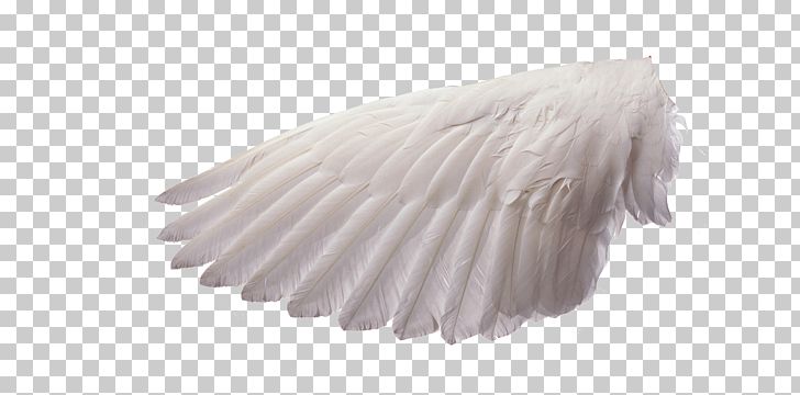 Spirit-led Preaching: The Holy Spirits Role In Sermon Preparation And Delivery Bible Preacher Pastor PNG, Clipart, Angel, Angels, Angel Wing, Chicken Wings, Creative Free PNG Download