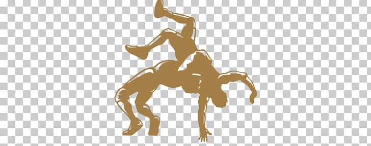 Wrestling PNG, Clipart, Wrestling Free PNG Download