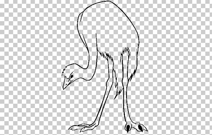 Common Ostrich Bird Drawing Coloring Book PNG, Clipart, Animal, Animals, Area, Arm, Ausmalbild Free PNG Download