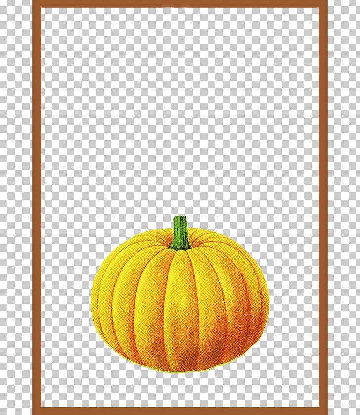 Pumpkin Calabaza Brown PNG, Clipart, Border, Border Frame, Border Texture, Brown, Calabaza Free PNG Download