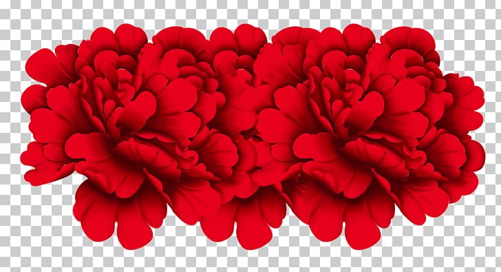Red Rose PNG, Clipart, Carnation, Chrysanthemum, Computer Icons, Cut Flowers, Decorative Patterns Free PNG Download