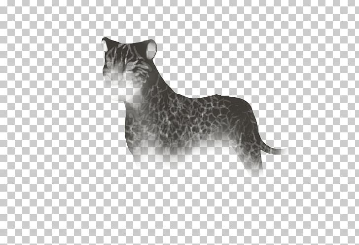 Cat Whiskers Felidae Lion Hyena PNG, Clipart, Animal, Animals, Big Cat, Big Cats, Carnivoran Free PNG Download