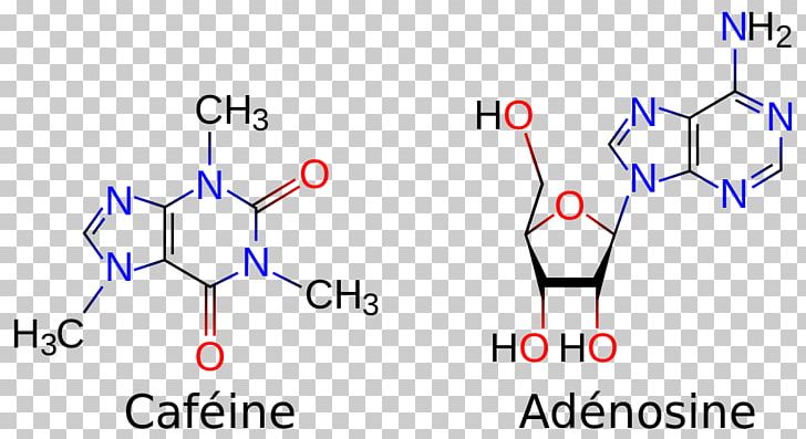 Coffee Tea Caffeine Adenosine Molecule PNG, Clipart, Adenine, Adenosine, Adenosine A1 Receptor, Adenosine Receptor, Adenosine Triphosphate Free PNG Download