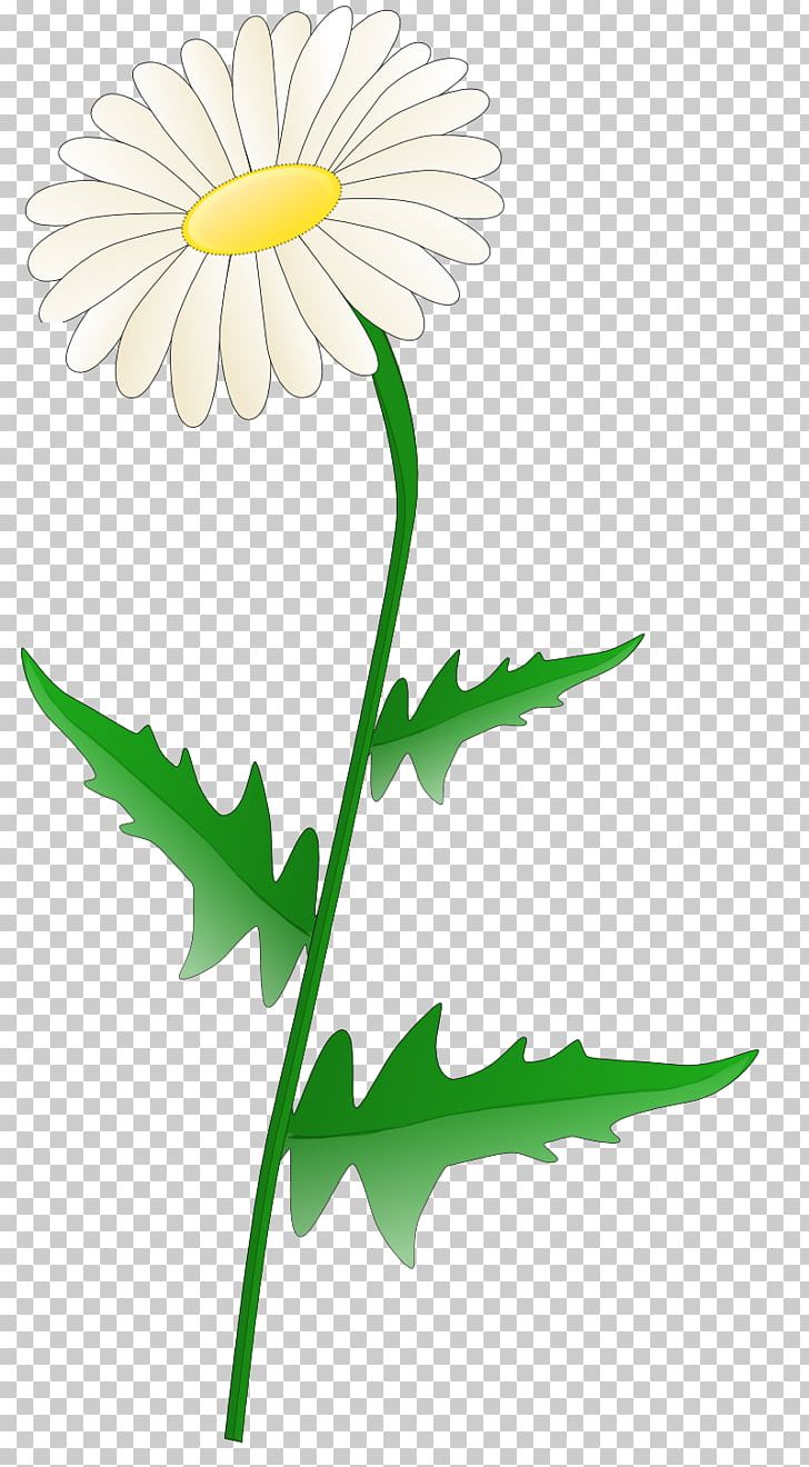 Leaf Sunflower Others PNG, Clipart, Artwork, Chamomile, Chrysanths, Common Daisy, Cut Flowers Free PNG Download