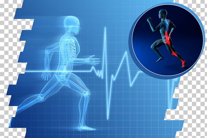 Exercise Physiology Sports Science Exercise Physiology PNG, Clipart, Balance, Blue, Dyscyplina Sportu, Education Science, Electric Blue Free PNG Download