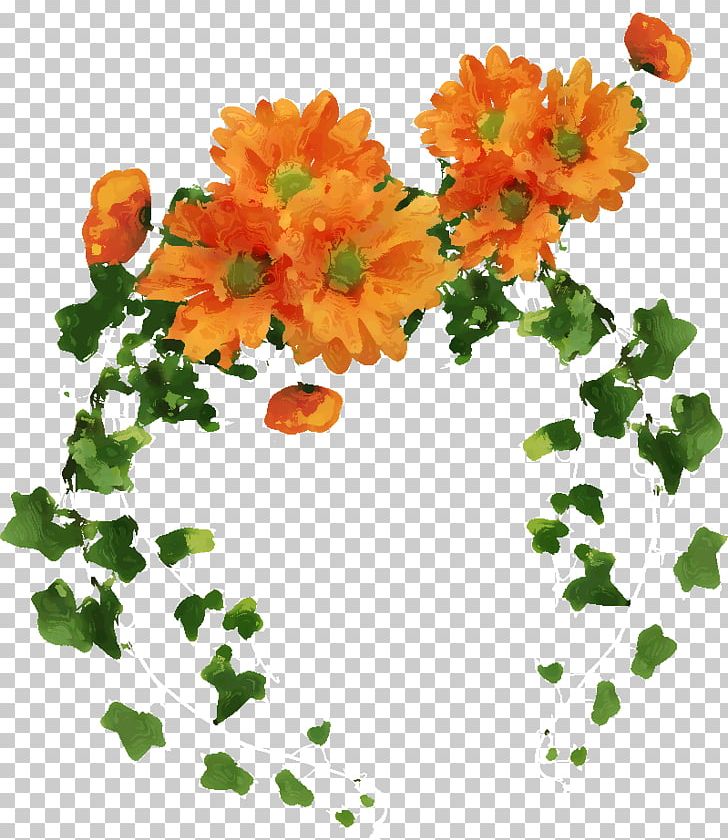 Floral Design Orange Cut Flowers Boston Ivy PNG, Clipart, Boston Ivy, Calendula, Chrysanths, Color, Cut Flowers Free PNG Download