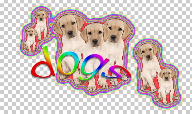 Golden Retriever Puppy Dog Breed Sporting Group PNG, Clipart, Breed, Carnivoran, Crossbreed, Dog, Dog Breed Free PNG Download