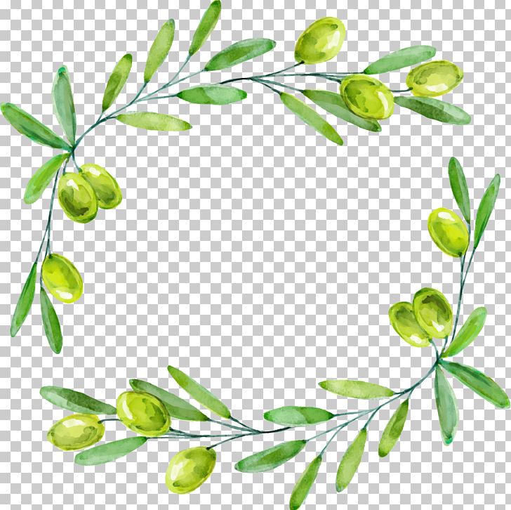 Olive Branch Euclidean PNG, Clipart, Branch, Decorative Patterns, Design, Download, Floral Design Free PNG Download