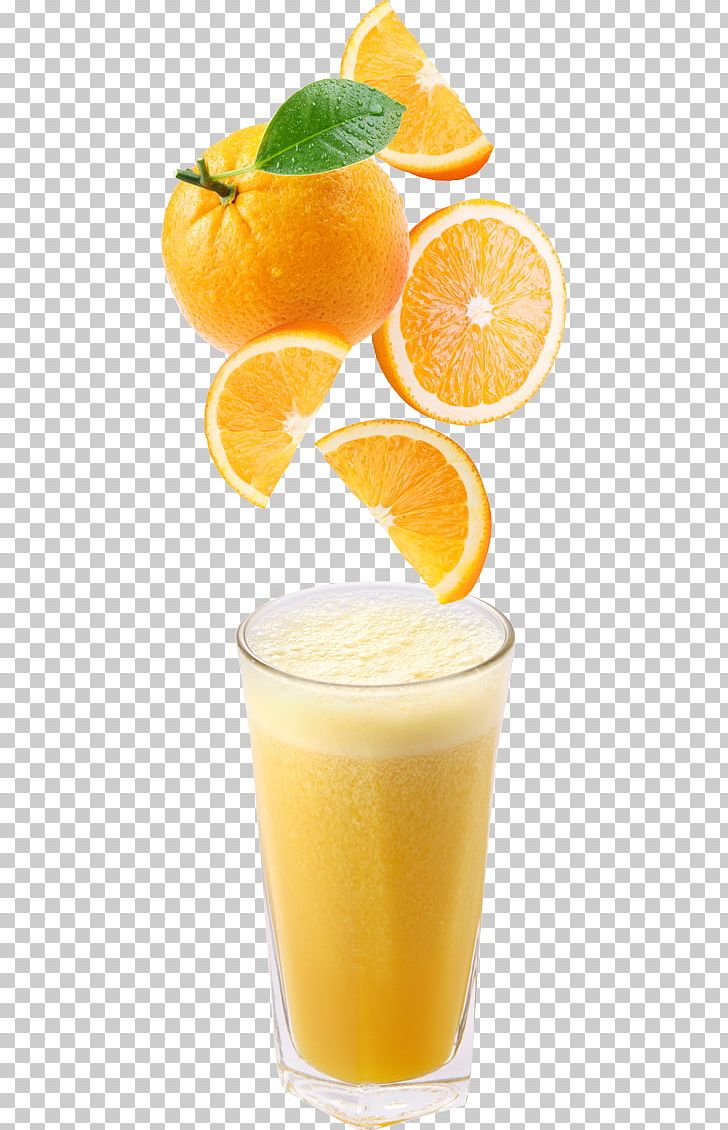 Orange Juice Orange Drink Ice Cream Apple Juice PNG, Clipart, Apple Juice, Citric Acid, Drink, Fruit, Fruit Nut Free PNG Download