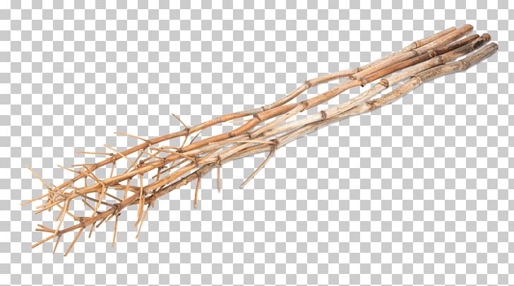 Twig Fennel Branch Wood Room PNG, Clipart, Apartment, Askartelu, Bedroom, Branch, Cheap Free PNG Download