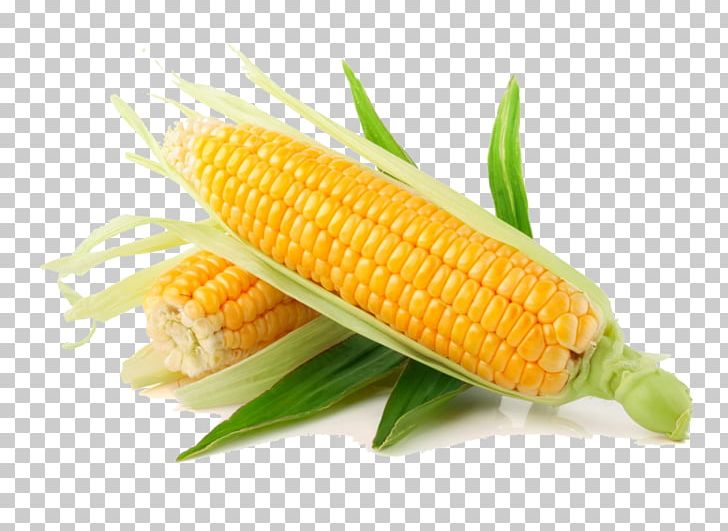 Corn On The Cob Flint Corn Sweet Corn Organic Food Cereal PNG, Clipart, Baby Corn, Commodity, Corn, Corn Kernel, Corn Kernels Free PNG Download