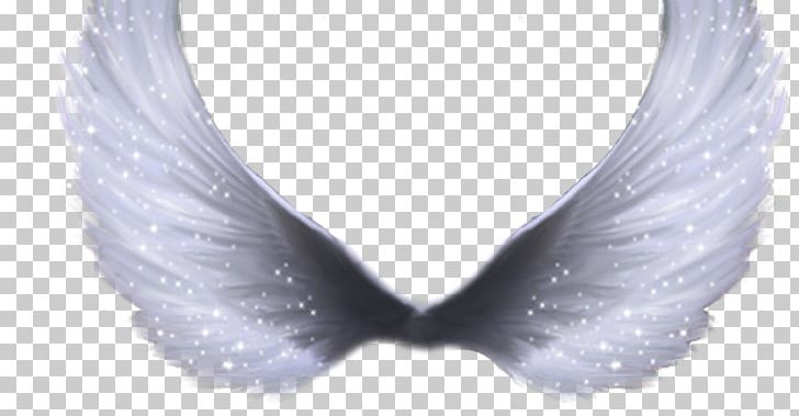 Document PNG, Clipart, Angel, Butterfly, Computer Icons, Cutepdf, Desktop Wallpaper Free PNG Download