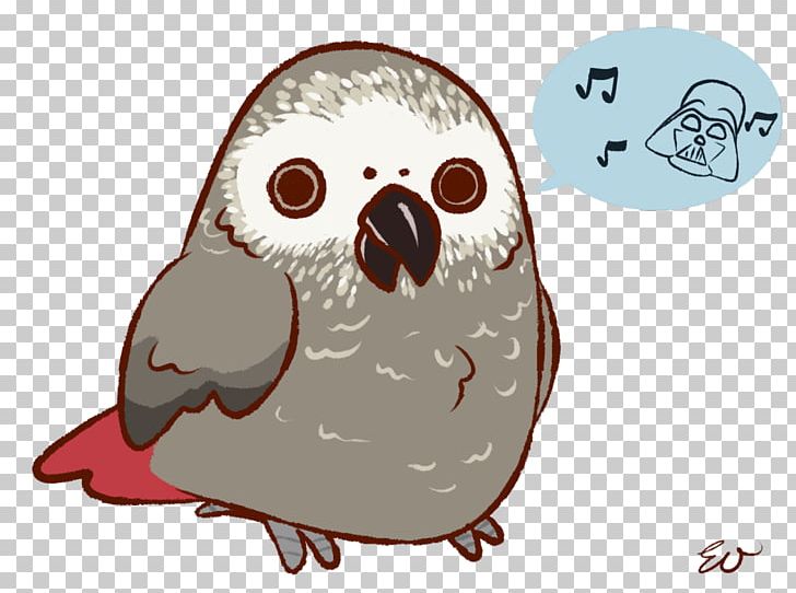 Owl Beak Bird Of Prey PNG, Clipart, Animals, Beak, Bird, Bird Of Prey, Cag Free PNG Download