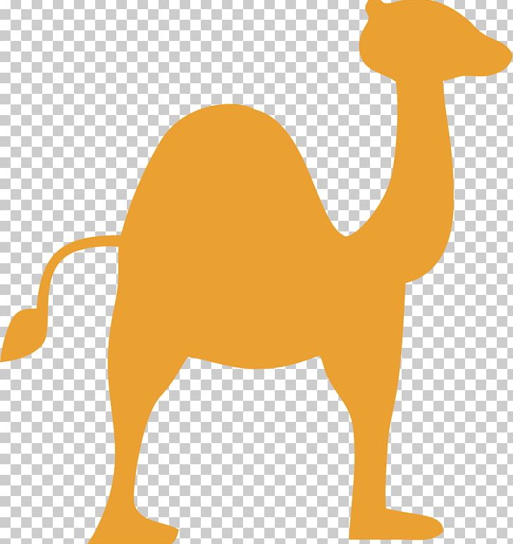 Dromedary Eid Al-Adha PNG, Clipart, Adha, Animal Figure, Animals, Arabian Camel, Beak Free PNG Download