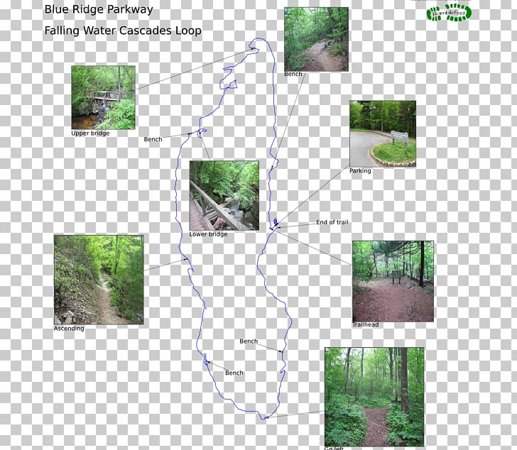 Fallingwater Cascades Cascade Ridge Elementary School Waterfall Information PNG, Clipart, Angle, Blue Ridge Mountains, Blue Ridge Parkway, Cascade, Cascade Range Free PNG Download