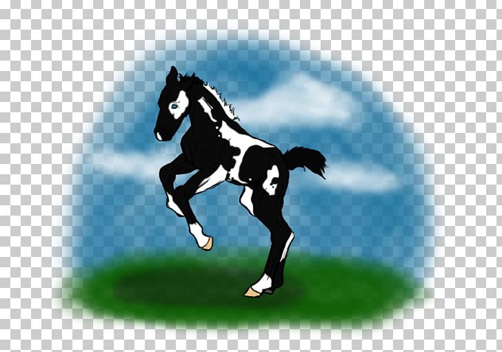 Stallion Mustang Colt Halter Pony PNG, Clipart, Colt, Equestrian, Equestrian Sport, Flirting, Grass Free PNG Download