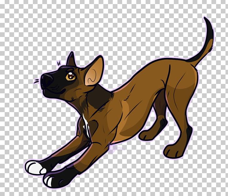 Whiskers Cat Dog Breed Leash PNG, Clipart, Animals, Breed, Carnivoran, Cat, Cat Like Mammal Free PNG Download