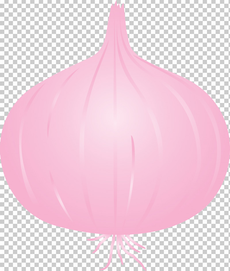 Onion PNG, Clipart, Balloon, Onion Free PNG Download