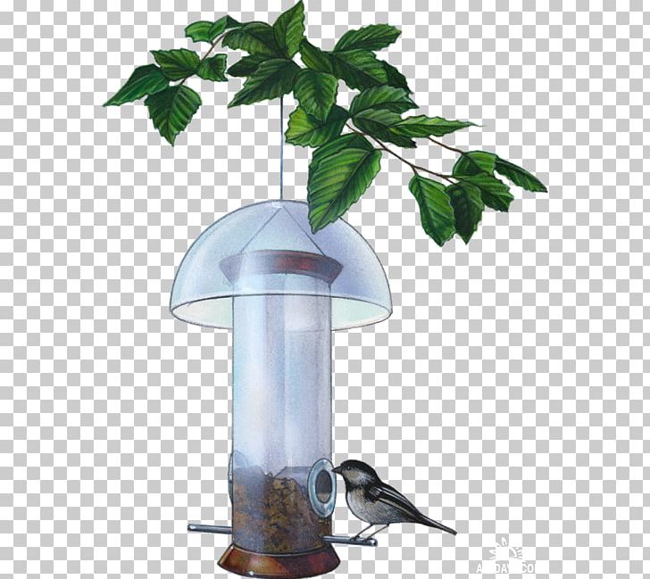 Bird Feeders Hummingbird Eurasian Blue Tit PNG, Clipart, Animals, Bird, Bird Feeder, Bird Feeders, Bird Feeding Free PNG Download