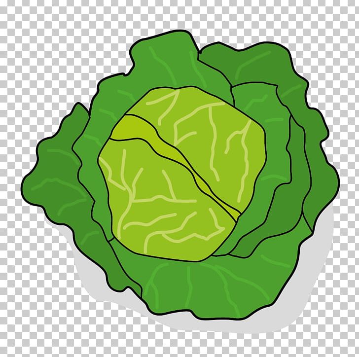 Leaf Vegetable Chou Computer Icons Cabbage PNG, Clipart, Ail, Cabbage, Canning, Chou, Choux Pastry Free PNG Download