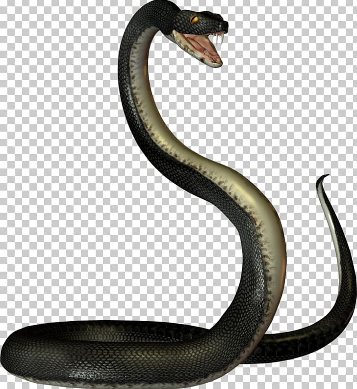 Mambas Snake PNG, Clipart, Animal Figure, Animals, Cobra, Computer Software, Data Compression Free PNG Download