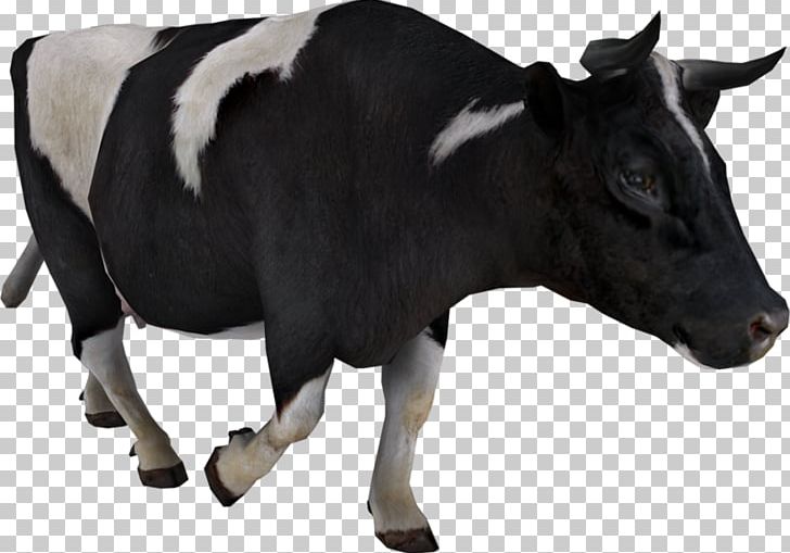 Taurine Cattle PNG, Clipart, Bull, Cattle, Cattle Like Mammal, Cow Goat Family, Dairy Free PNG Download