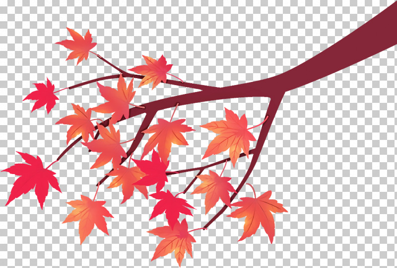 Maple Tree Branch Maple Tree Autumn PNG, Clipart, Autumn, Black Maple, Branch, Flower, Leaf Free PNG Download