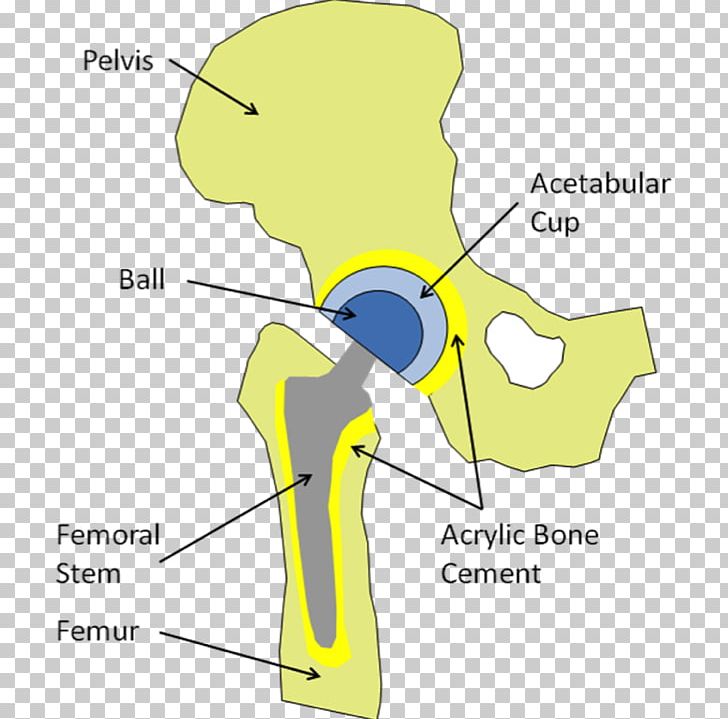 Human Behavior Yellow Nose PNG, Clipart, Angle, Animal, Area, Behavior, Diagram Free PNG Download