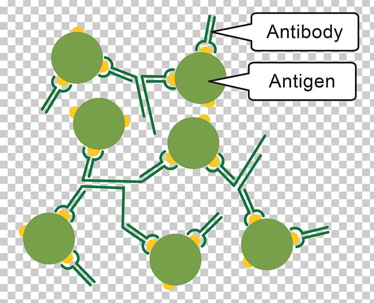 Pathogen Immune System Antibody Antigen Immunity PNG, Clipart, Angle, Antibody, Antigen, Area, Blood Cell Free PNG Download
