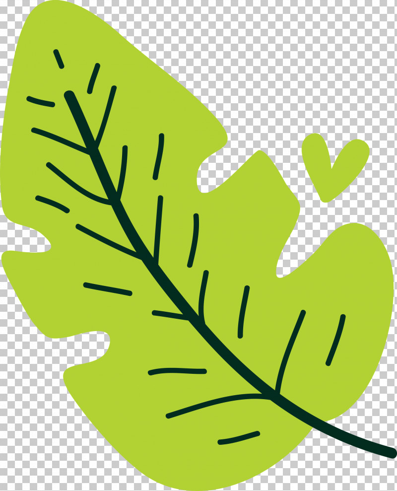 Plant Stem Leaf Green H&m Area PNG, Clipart, Area, Biology, Green, Hm, Leaf Free PNG Download