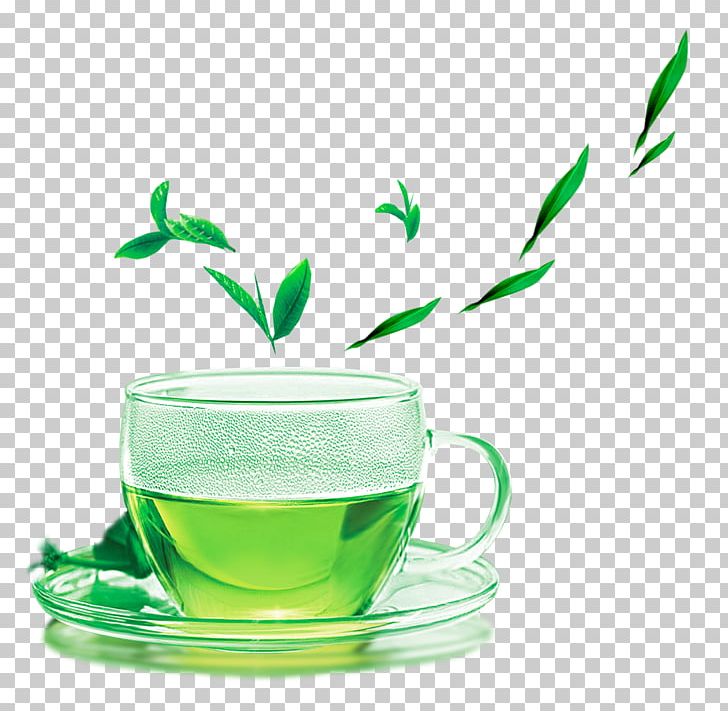 Green Tea Yum Cha The Classic Of Tea Meitan County PNG, Clipart, Background Green, Black Tea, Camellia Sinensis, Catechin, Classic Of Tea Free PNG Download